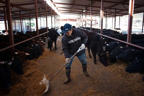 زندگی در رادیواکتیوترین منطقه جهان زندگی در رادیواکتیوترین منطقه جهان