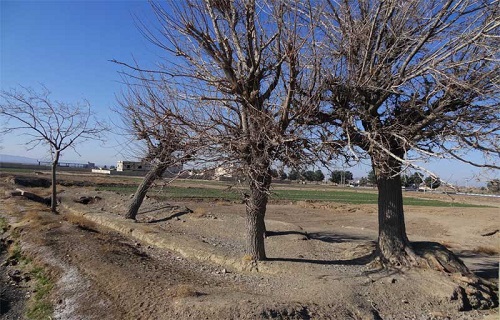 حمام سَرِجوی بهشت&zwnj;آباد جهنم شد