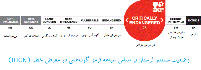 عید ما عزای این گونهی در خطر انقراض است! عید ما عزای این گونهی در خطر انقراض است!