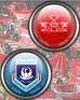 چرا پرسپوليس گرفتار مشكلات مديريتي شد؟