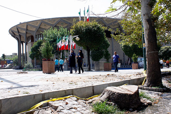گزارش گاردین از قطع چنارهای کهنسال در تهران +تصاویر