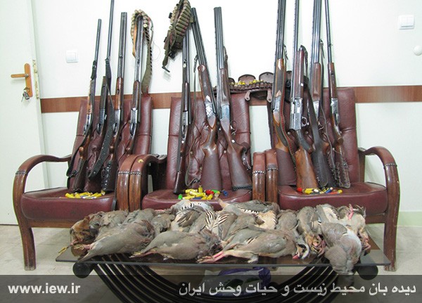 دستگیری ۱۱ شکارچی کبک در طالقان دستگیری ۱۱ شکارچی کبک در طالقان