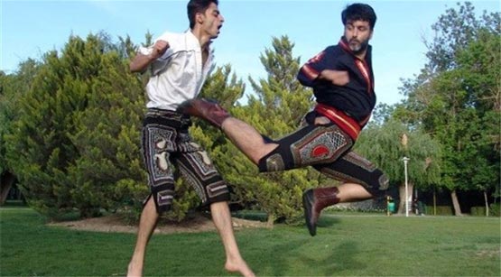 یک رزمیکار رئیس کمیته انضباطی فدراسیون کشتی یک رزمیکار رئیس کمیته انضباطی فدراسیون کشتی