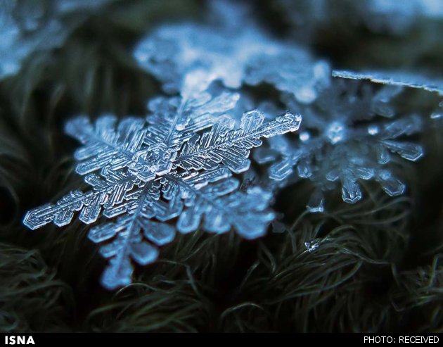 تصاویر شگفت‌انگیز از بلورهای برف+عکس
