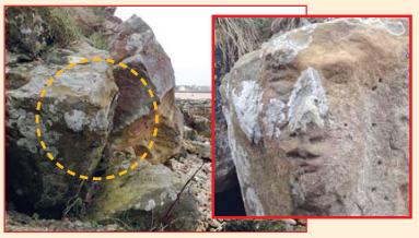 نقش فسیل انسان روی صخره ساحلی