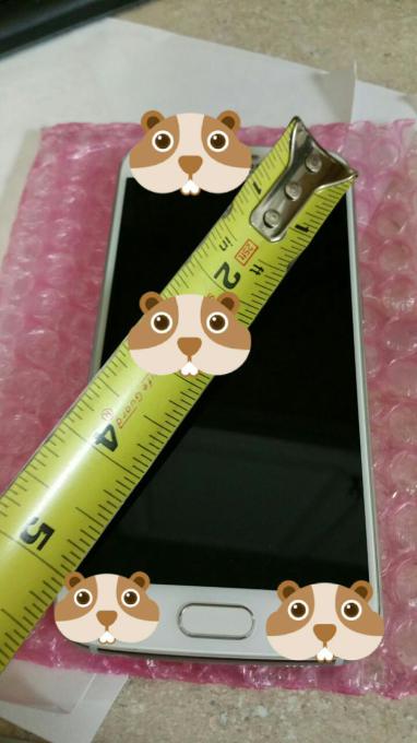 تصاویر منتسب به سامسونگ Galaxy S6 منتشر شد