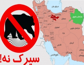 خراسان رضوی؛ نخستین استان بدون حیوان آزاری