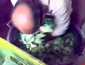 ویدئویی که نیمه ناخوش خاطرات کودکی را برملا می‌کند!