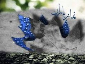 درخواست محیط زیست برای اقامه نماز باران