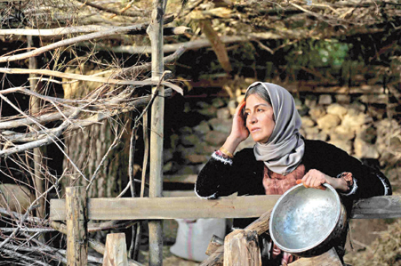 بهترین فیلم مردمی جشنواره فجر، تمثال مادران قهرمان ایران