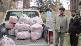کشف بیش از ۷۰۰ کیلوگرم گوشت گراز در علی آباد