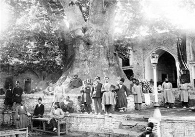 تصویر قدیمی از درخت چنار کهنسال امامزاده صالح