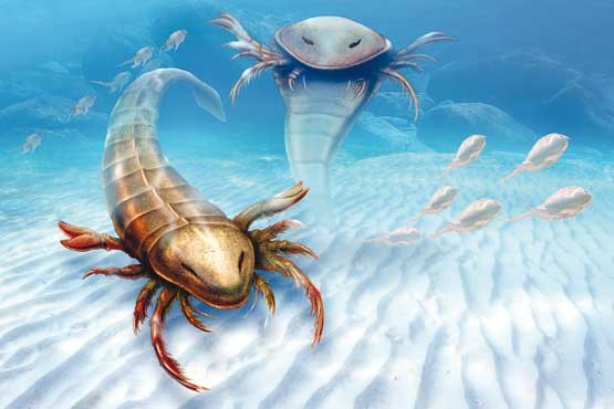 کشف فسیل عقرب دریایی عظیم‌الجثه