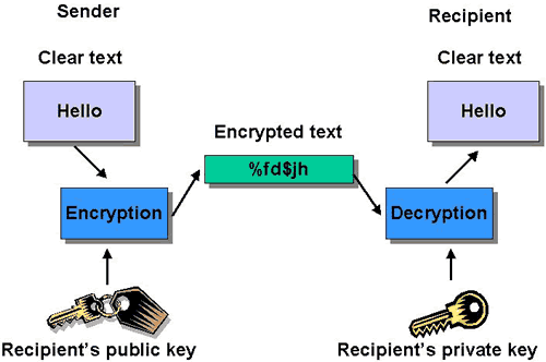 چهار نکته ای که درباره «رمزگذاری» باید بدانید