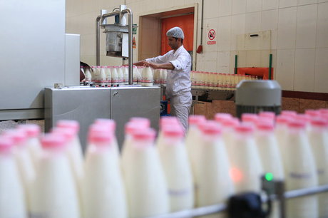 صنایع لبنی: ابلاغیه 2 وزیر عامل گرانی شیر