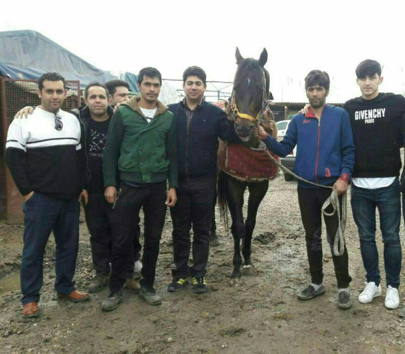 ستاره تیم ملی قوی‌ترین اسب ایران را خرید!