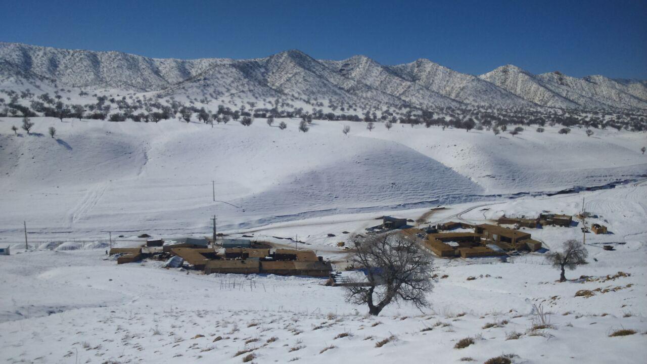 روستای ناوه چنگیزی از توابع کوهدشت لرستان