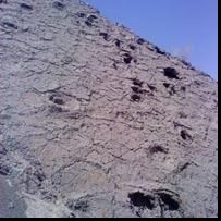 ۴۶ ردپای عظیم‌الجثه در ایران ثبت ملی شد