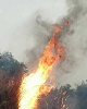 درخواست کمک ملی برای مهار آتش سوزی پاسارگاد