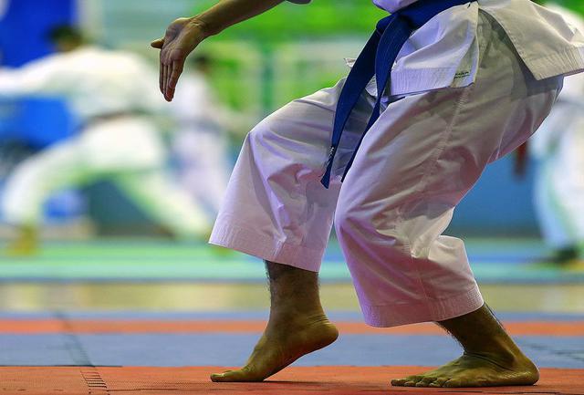 آیا خورشید موفقیت های کاراته کشور بار دیگر طلوع می کند؟