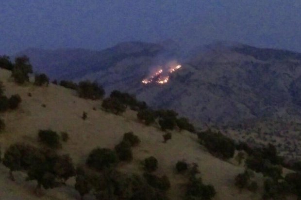 آتش جنگل های «کبیرکوه» ایلام را فرا گرفت آتش جنگل های «کبیرکوه» ایلام را فرا گرفت