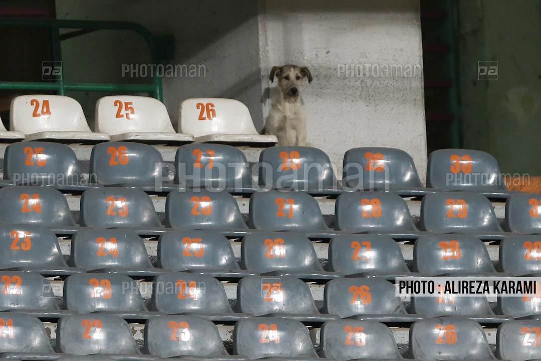 شکار جالب لنزهای دوربین در ورزشگاه آزادی