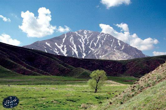 کوه میشو در مرند