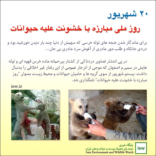 20 شهریور روز ملی مبارزه با خشونت علیه حیوانات