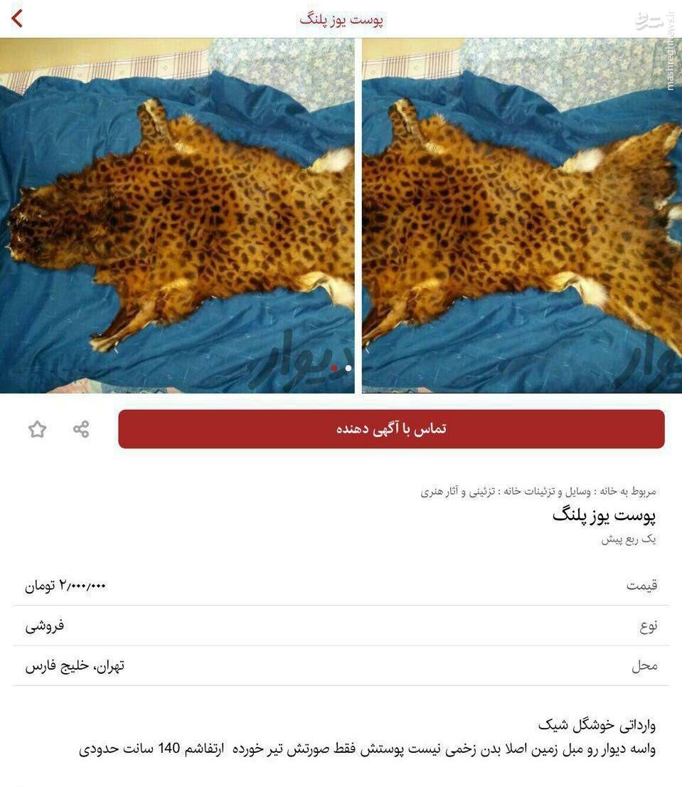 جنایت&zwnj;های مخفیانه&zwnj;ای که گویی قانونی شده&zwnj;اند!