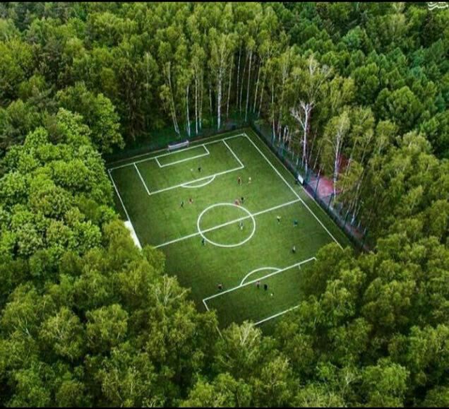 زمین فوتبال رویایی در قلب جنگل‌های مسکو