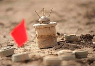 کشاورزانی که با باقی مانده‌های جنگ درو می‌شوند!