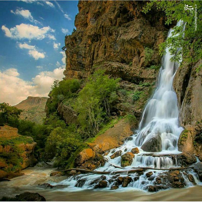 مراسم ازدواجی عجیب در فروشگاه! مراسم ازدواجی عجیب در فروشگاه!