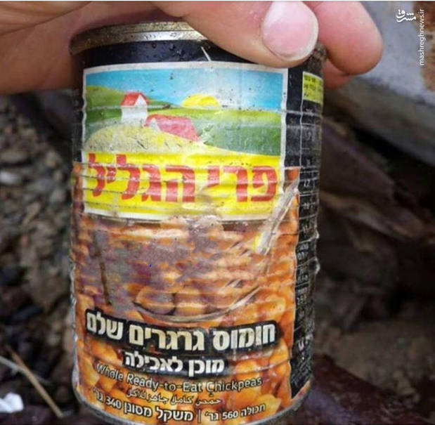 خوش نویسی و نقاشی فیل ها در ژاپن خوش نویسی و نقاشی فیل ها در ژاپن