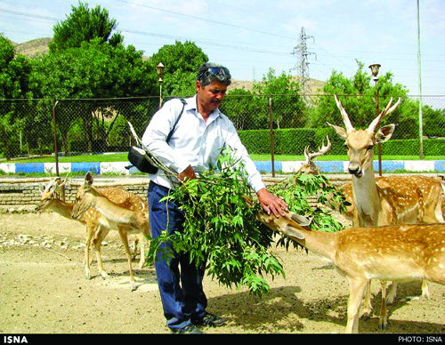 کودکانی که در سرما آموزش نظامی میبینند کودکانی که در سرما آموزش نظامی میبینند