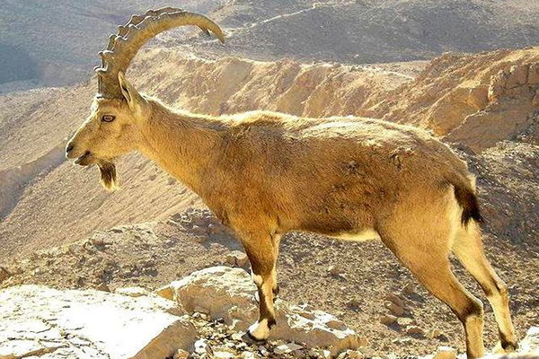 خانواده&zwnj;ای که ۴۲ سال تنها در سیبری زندگی کردند