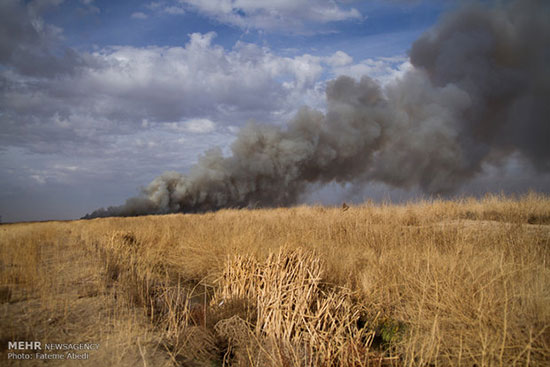 جان فروم، مسیح هزاران تن در جزیره ای در اقیانوس آرام جان فروم، مسیح هزاران تن در جزیره ای در اقیانوس آرام