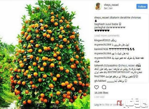 ترسناک&zwnj;ترین عارضه جانبی جراحی زیبایی بینی