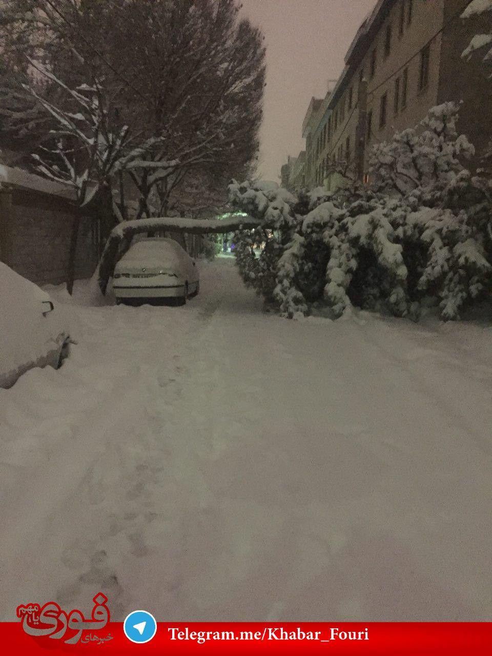 تصاویری حیرتآور از عجیبترین کوچولوهای دنیا تصاویری حیرتآور از عجیبترین کوچولوهای دنیا