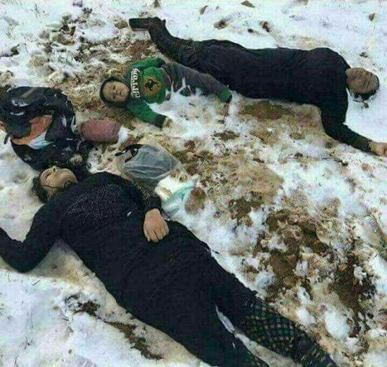 تصاویری حیرتآور از عجیبترین کوچولوهای دنیا تصاویری حیرتآور از عجیبترین کوچولوهای دنیا