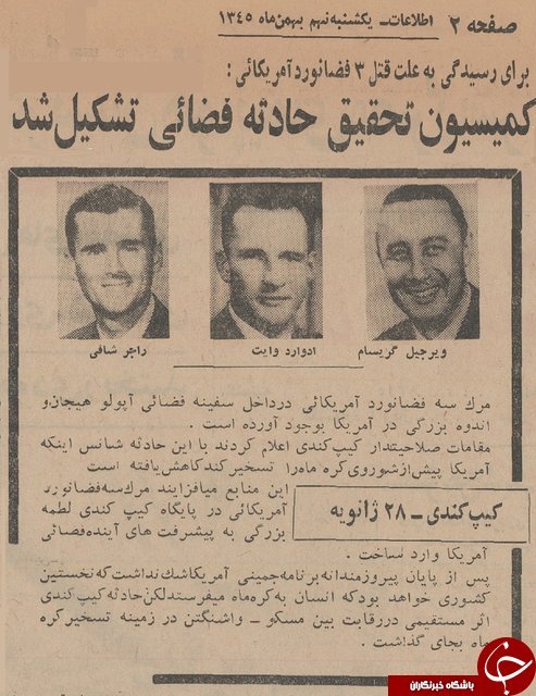 مگس عجیبی که روی بالهایش مورچه دارد مگس عجیبی که روی بالهایش مورچه دارد