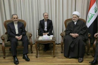 ولایتی با رییس مجلس اعلای عراق دیدار کرد