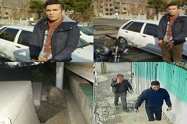 گربه بداخلاق اما ثروتمند گربه بداخلاق اما ثروتمند