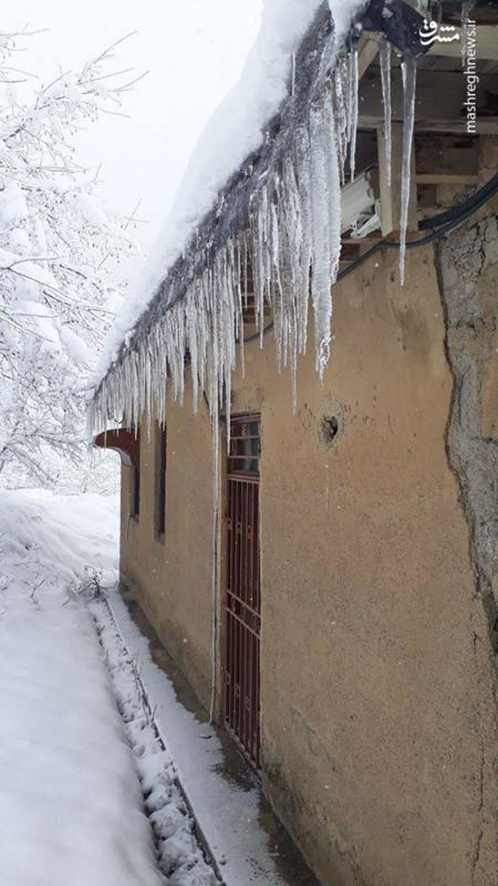 کشف راز آرامگاه فراموش شده با یک نامه