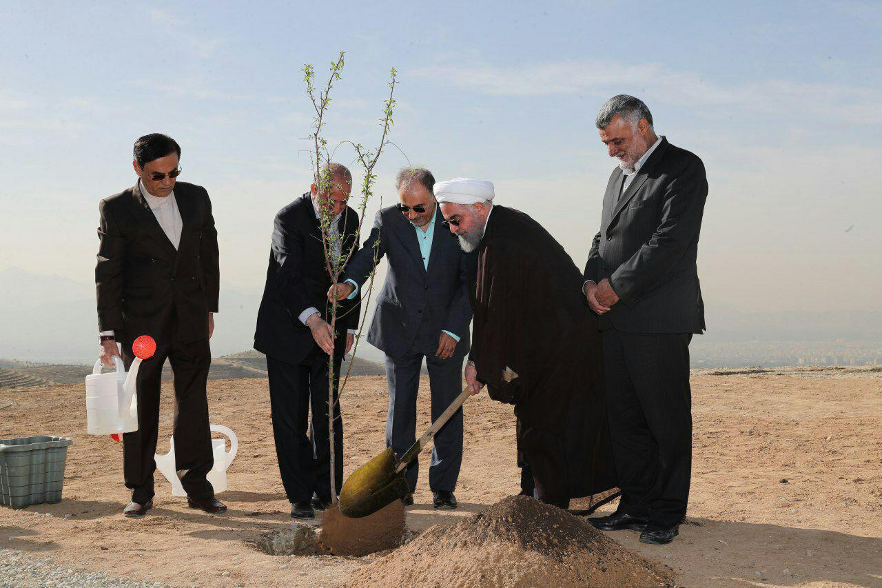 کاشت نهال توسط روحانی کاشت نهال توسط روحانی