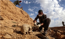 کشف گور دسته جمعی در بخش غربی موصل