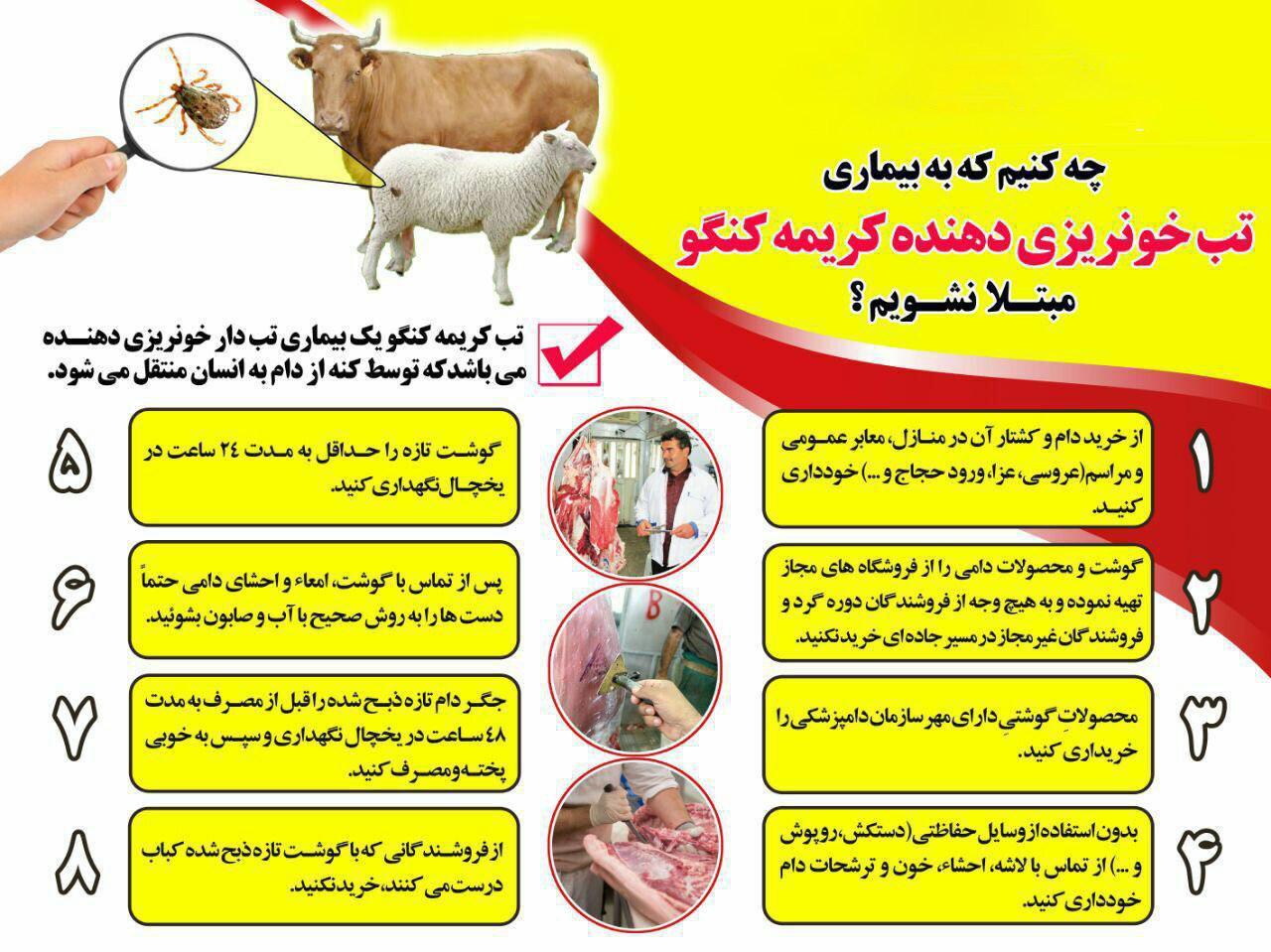اینفوگرافی پیشگیری از تب کریمه کنگو اینفوگرافی پیشگیری از تب کریمه کنگو