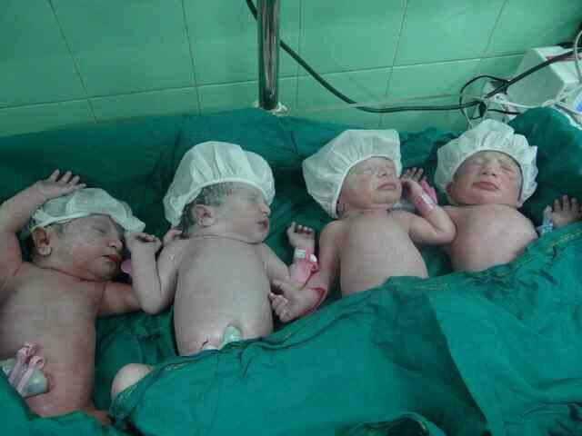 تصویری از 4 قلوهای تازه متولد شده در قم
