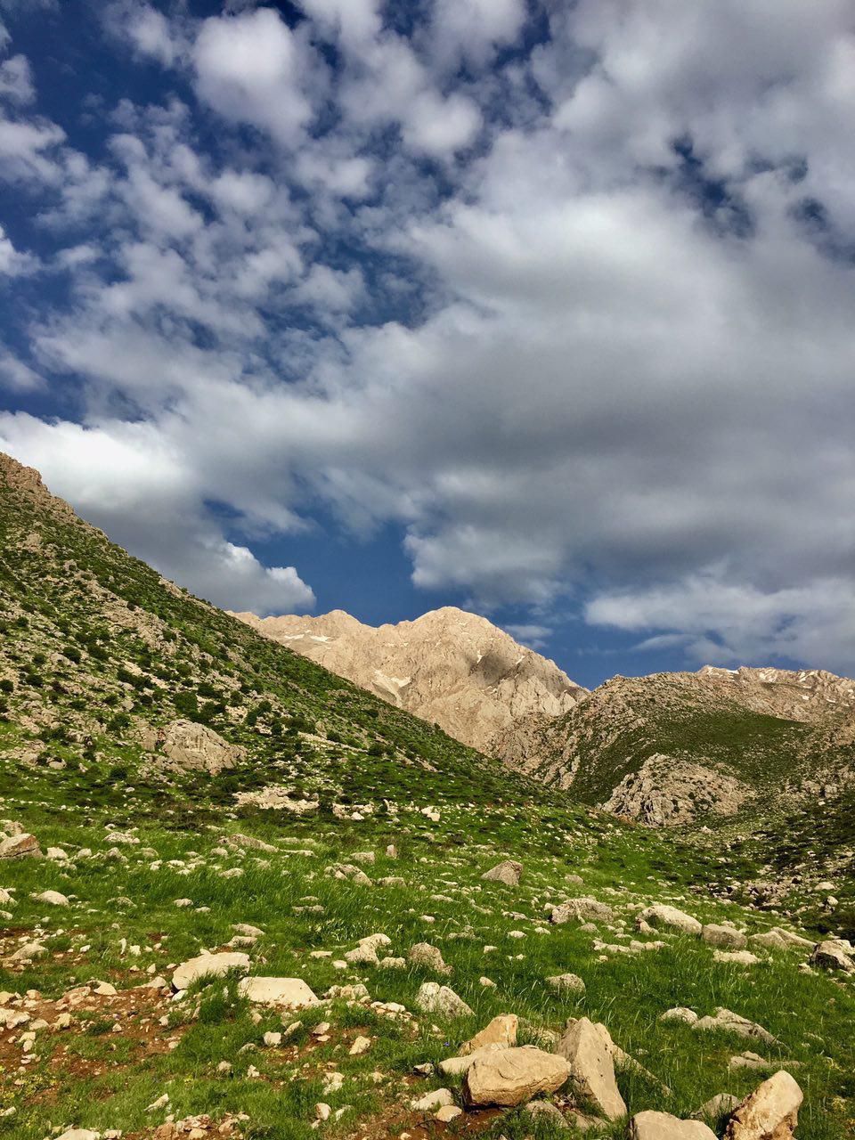 کوە زاولی از رشتە کوە شاهو در شهر پاوە کوە زاولی از رشتە کوە شاهو در شهر پاوە