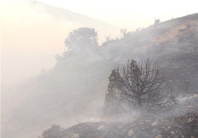 اطفاء کامل حریق در جنگلهای گلستان