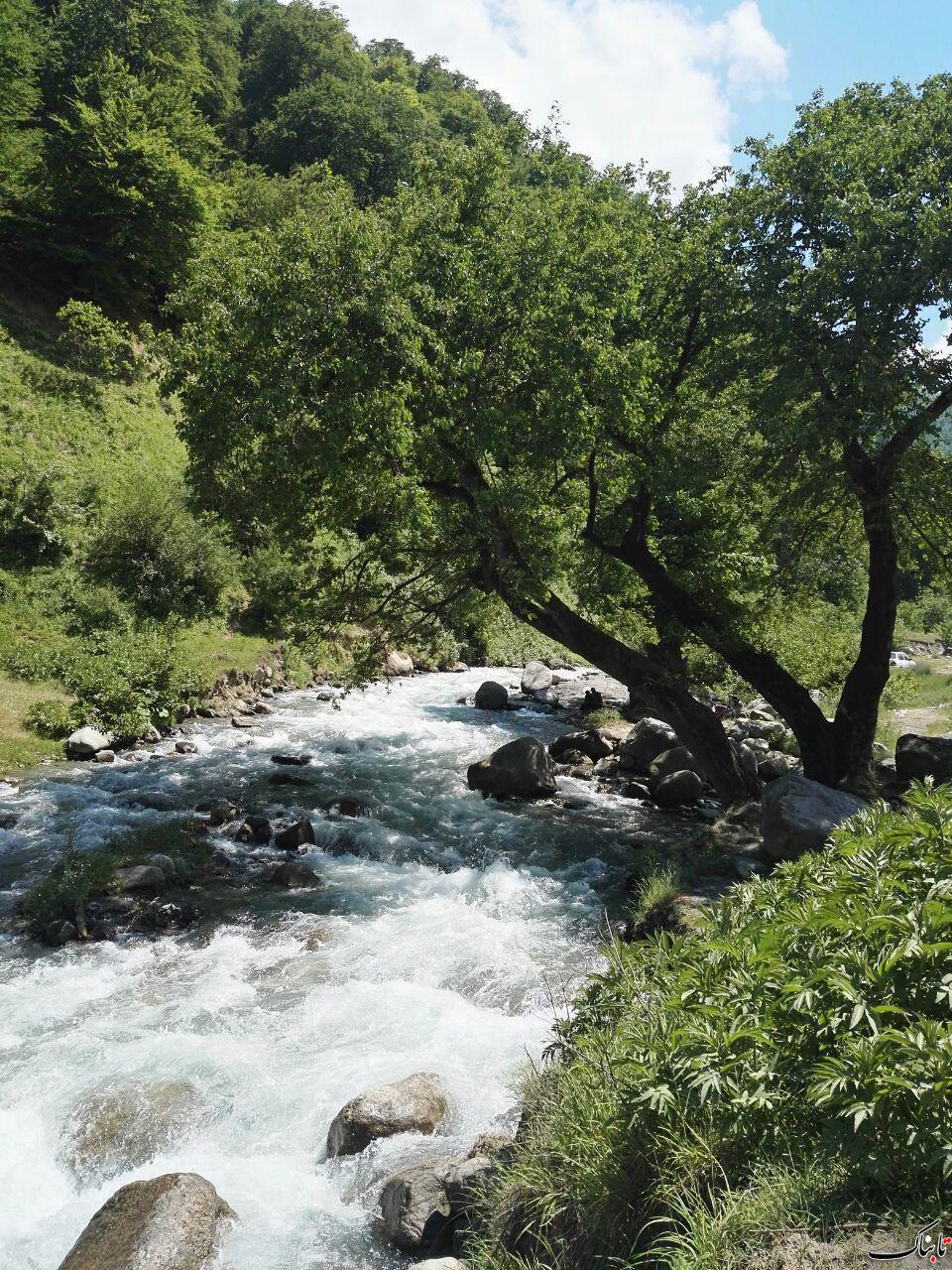 طبیعت زیبای كلاردشت طبیعت زیبای كلاردشت